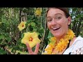 MAUI HAWAII VLOG! my happy place :)