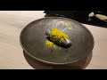 Sushi Masaki Saito - The Most Ultimate Omakase Dinner in Toronto, ON, Canada