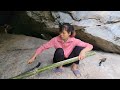 Complete the bamboo door, avoid wild animals - Daily life of a poor homeless mother and child