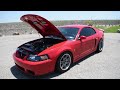 My Terminator cobra hits 100k miles! - Walk around & Ownership experience