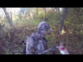 2013 Wisconsin Doe Harvest