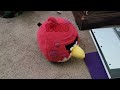 Playing Angry Birds in real life