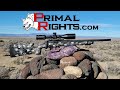 Primal Rights 17WSM - The Most Accurate 17 WSM Made?