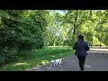 [4K] Let's take a walk in London's Hyde Park!