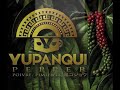 ❤️😍👉👉 Growing Yupanqui peppercorns!! 👉The best gourmet peppercorns