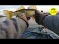 FEEDING Hair Jigs to Mississippi River Walleye and Sauger