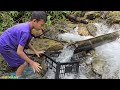 fish trap video, An orphan boy khai traps stream fish to sell