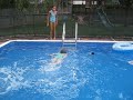 Maddie Diving Board