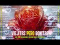 Viejitas Pero Buenas Romanticas Del Recuerdo Música ❤️ Los 100 Mejores Éxitos Románticos 🌷