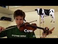 Animal sounds on Violin. Latest viral video. Trending. Very nice attempt.