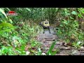 Mudding! 15 Scale trucks RC offroad adventures at Bangkit Road Trail - SCX10 Land Rover Defender