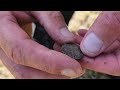 Metal detecting: Unravelling the Fascinating Past of Hammered Coins