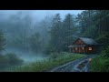 Relieve Stress And Fall Asleep With Rain In The Forest | Nature Sounds For Sleep, Study & Meditation