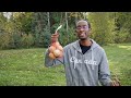 How to relieve ear aches with onions - Quick Relief