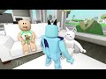 JJ AND BLUEY'S FAMILY ADVENTURE | Funny Roblox Moments | Brookhaven 🏡RP