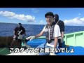 Catch A Monster Man-Eating Shark in Okinawa！