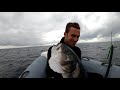 Early Summer Catches - 10LB SEABASS - Spearfishing Adventures 2021 Ep 3