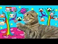 Cat Tales -Rory the Hero saves Princess - Obstacles course  for my kitten