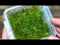 How To Propagate Moss - Simple & Easy Method!