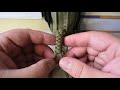 How to Tie a Paracord Snake Knot
