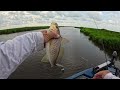 Which Will Catch More Fish in Louisiana’s Marsh?