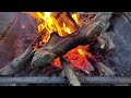 California fatwood and ferro rod fire | processing old fatwood that's been laying in the back yard