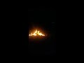 Negril Beach Bonfire
