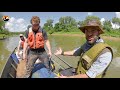 GAR WARS! The Battle to Save this GIANT Fish!