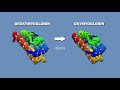 HEMOGLOBIN AND MYOGLOBIN BIOCHEMISTRY