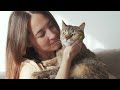 Playlist of Relaxing Music for Cats 💤 Help Cats Sleep Well and Relax 🐱 Music for Cats