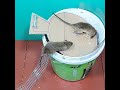 best bucket rat trap/how to catch mice at home