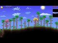 Turtle Here Terraria - Getting Started [1]