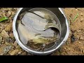 Walk along the riverbank to catch stranded fish after floods, orphan boy