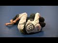 Caio Terra: Taking The Back From Half-Guard Technique