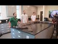 Most massive Burmese python ever caught in Florida - Press conference