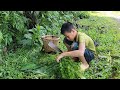 A poor boy picks wild vegetables to sell to get money