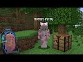 PRANK MOMON DENGAN MOD PALING KONYOL DI MINECRAFT !! Feat @sapipurba Minecraft
