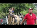 Beautiful Women Horseback Riders Finca Vueltas la Guacima