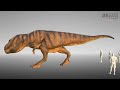 The Size Limit of Tyrannosaurus rex