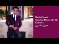 Habib Qaderi حبیب قادری - Live Wedding Mix III (exclusive)
