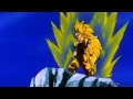 Goku turns Super Saiyan 3 for Kid Buu