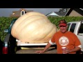 What's the secret to growing giant pumpkins?