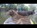 Making a floating dog bed so an old dog can still go fishing