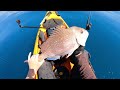 Slow Jigging off a Kayak SOLO 8km OFFSHORE - Perfect conditions HUGE Hook-ups