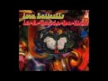 Iron Butterfly - In-A-Gadda-Da-Vida (Lyrics)