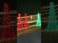 Light Show in Louisiana #chistmastree #christmas #shortvideo #subscribe #new #fyp #fypシ
