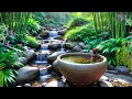 Beautiful Piano Relaxing Music, Relaxing Music For sleep and Study, Water Sound, Music, Study, Calm.