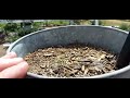 continuous videos establishing habits daily with vlogging #silverlake #garden #smalltownusa #oregon