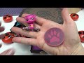 Miraculous Ladybug Miracle Box Handmade Jewelry and Kwamis Surprises from Master Fu