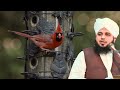 Peer mehere Ali Shah aur unky khadam Peer Ajmal Raza Qadri new bayan 2024 | Pir Ajmal best bayan